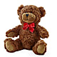 Adorable Plush Bear – Morgan Hill Florist, San Jose CA