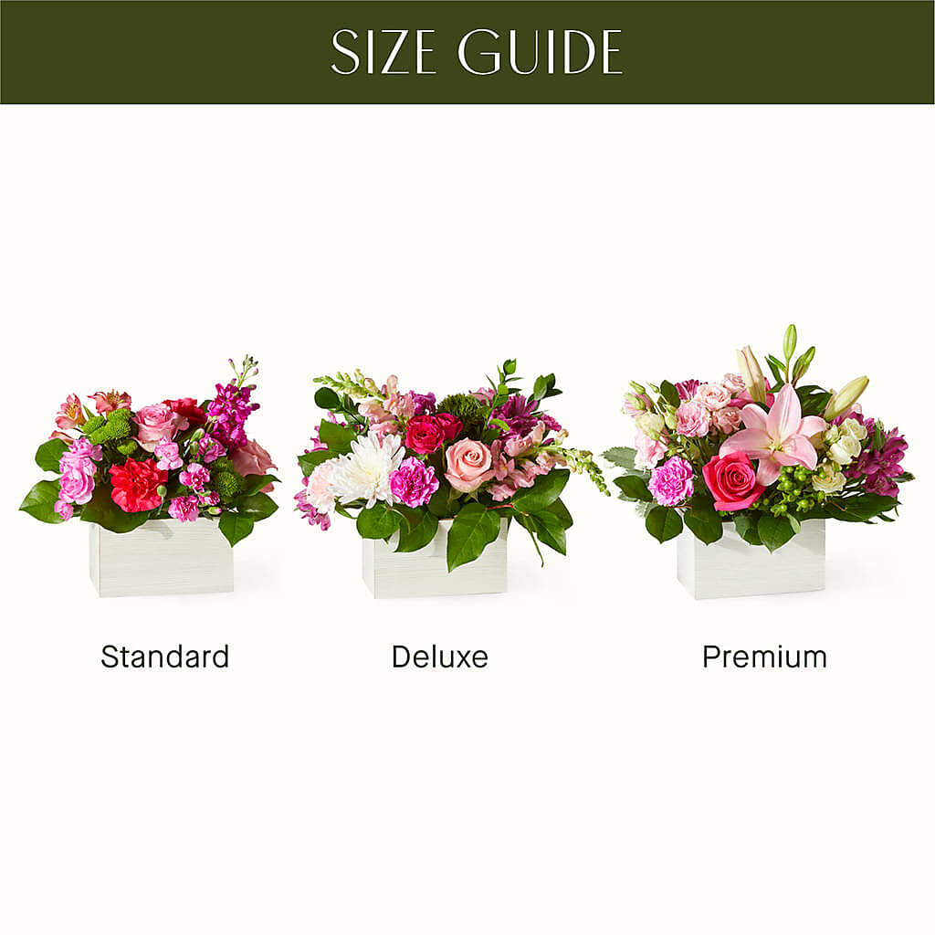 Sweetberry Box – A Florist Original – Morgan Hill Florist, San Jose CA