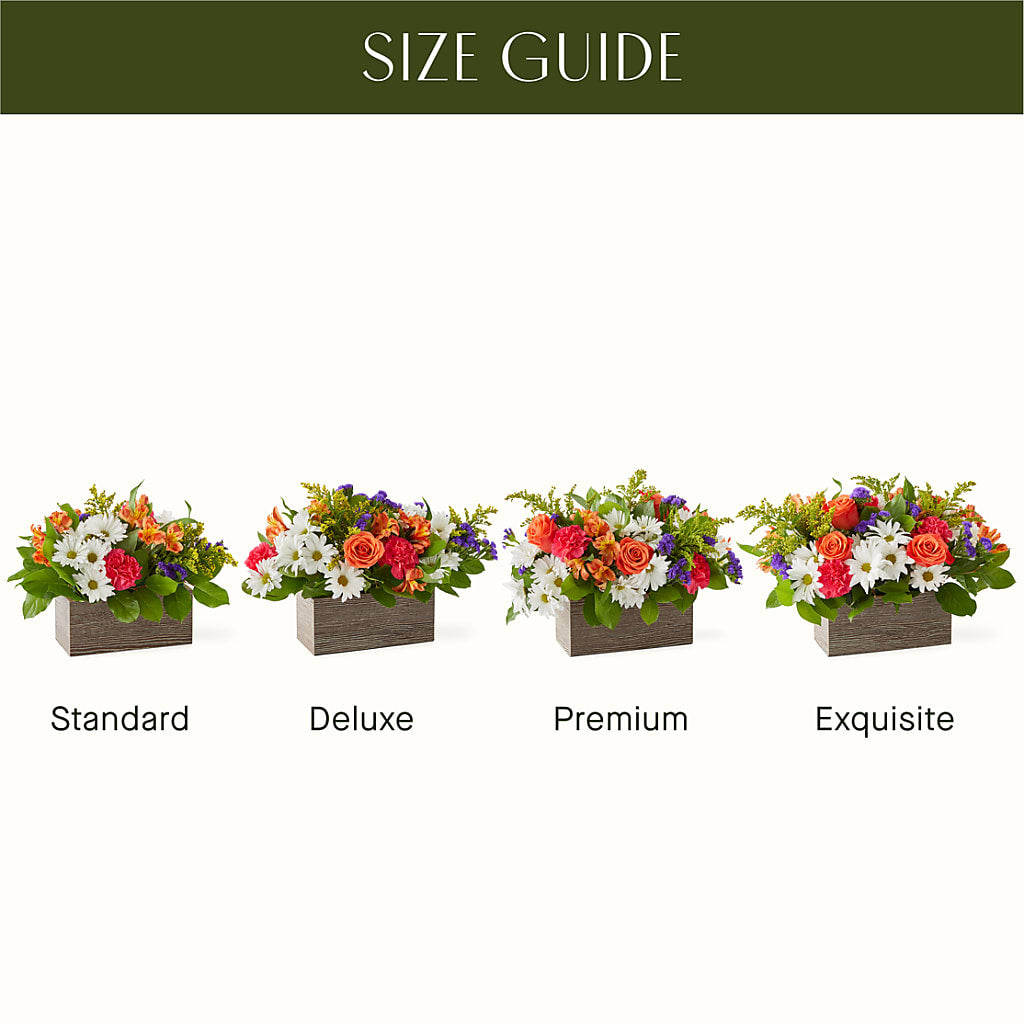 Oopsie Daisy Box Bouquet – Morgan Hill Florist, San Jose CA