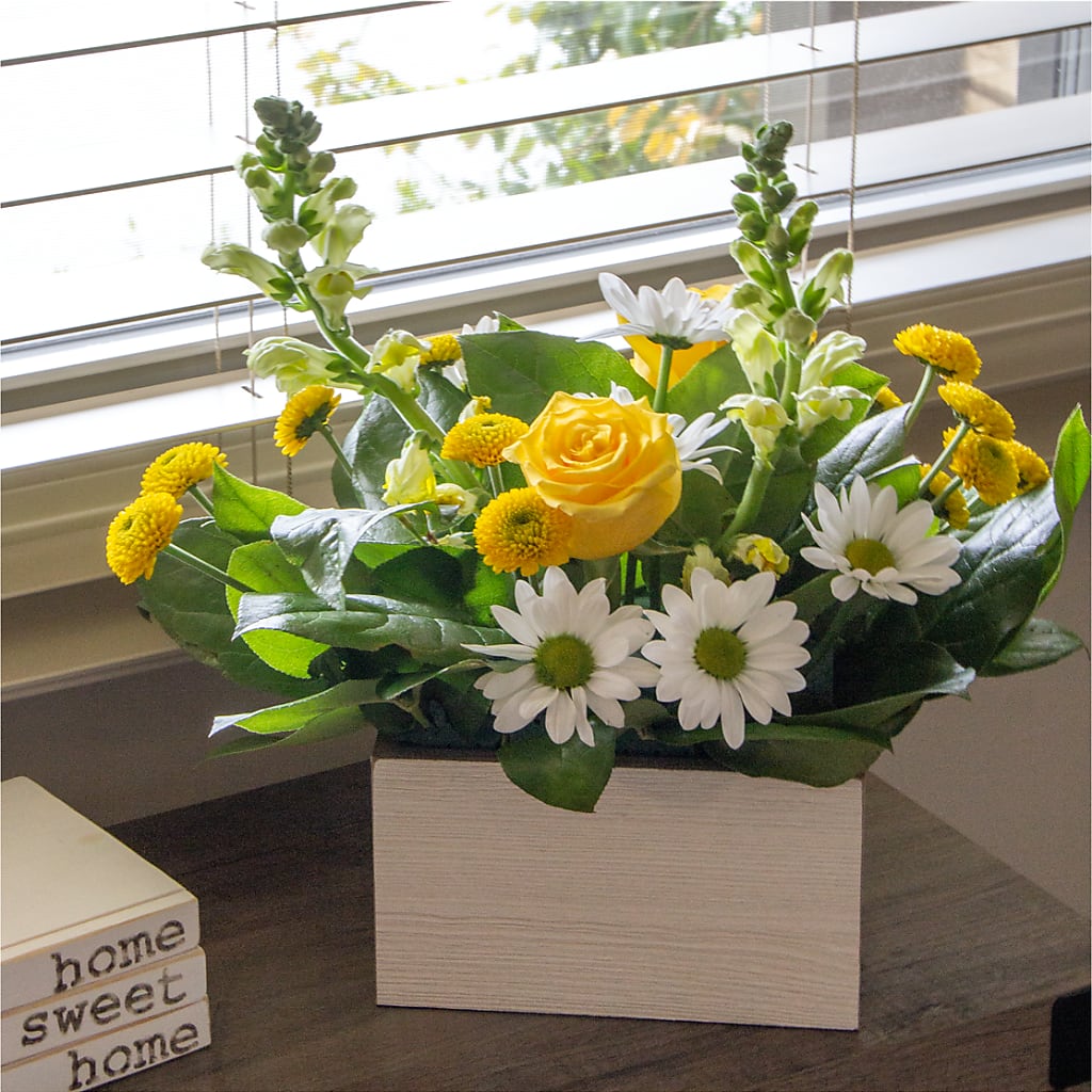 Sun Salutation Box Bouquet – Morgan Hill Florist, San Jose CA