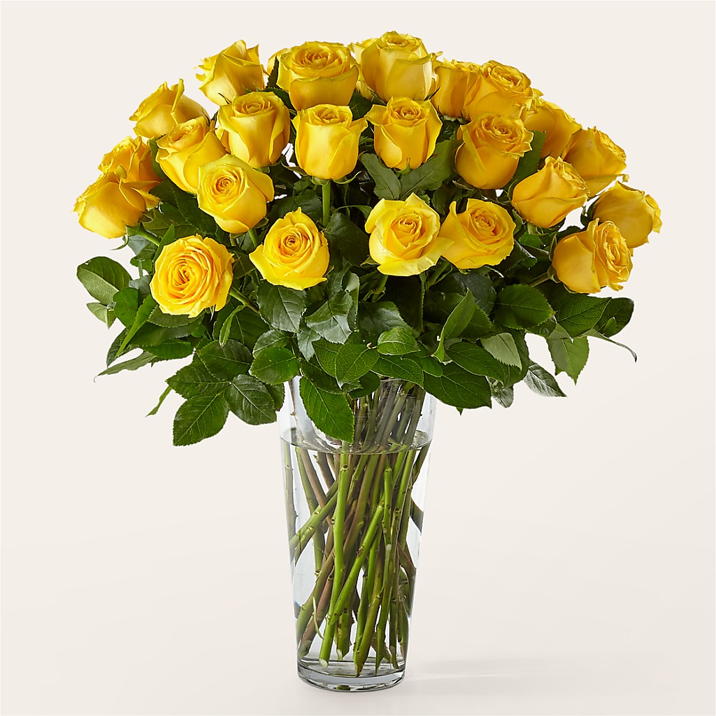 Long Stem Yellow Rose Bouquet – Morgan Hill Florist, San Jose CA