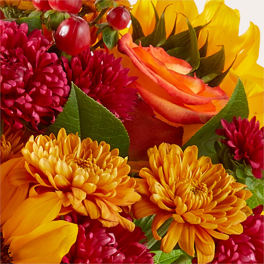 Sweater Season - A Florist Original – Morgan Hill Florist, San Jose CA