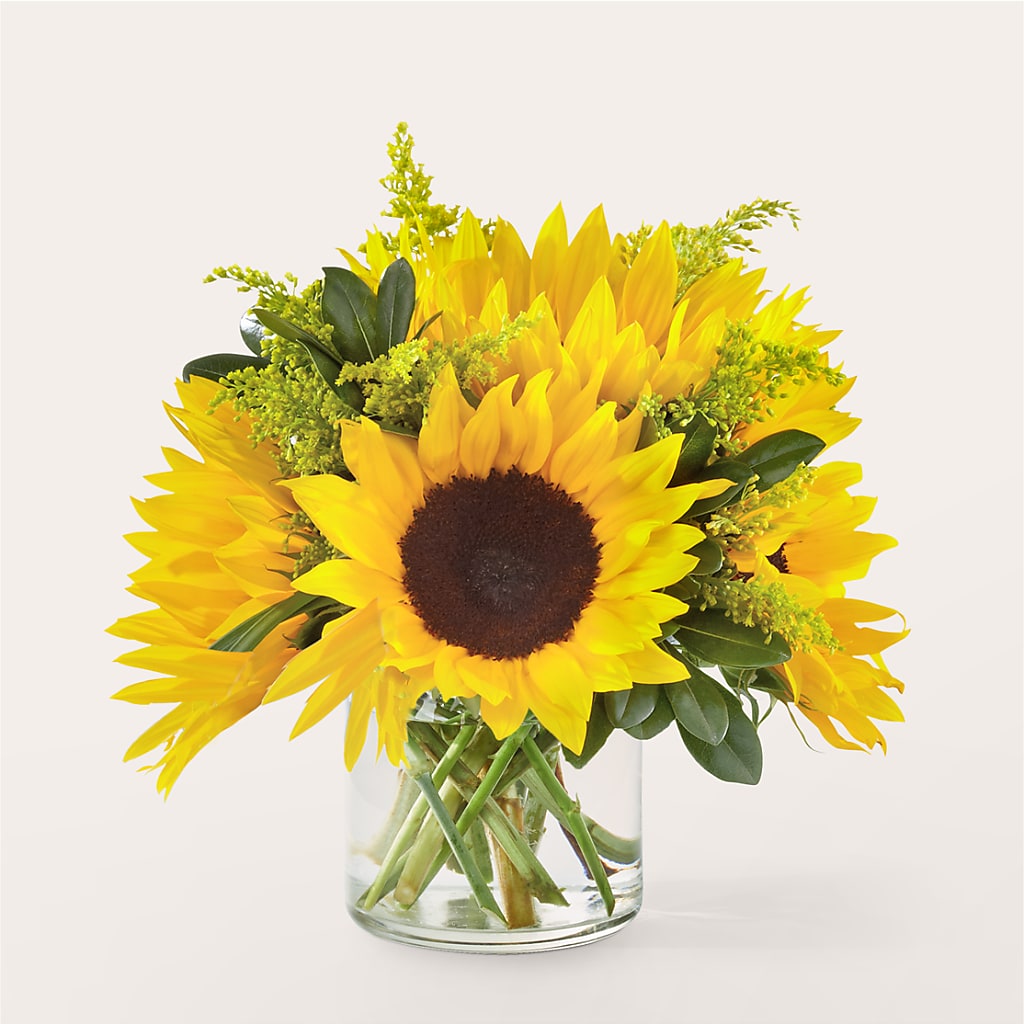 Beaming Sunflower Bouquet – Morgan Hill Florist, San Jose CA