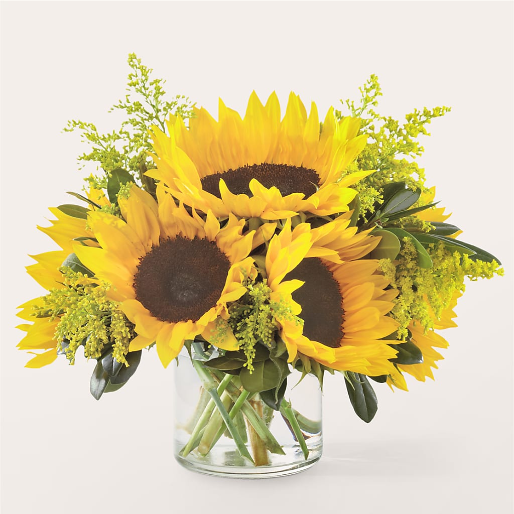 Beaming Sunflower Bouquet – Morgan Hill Florist, San Jose CA