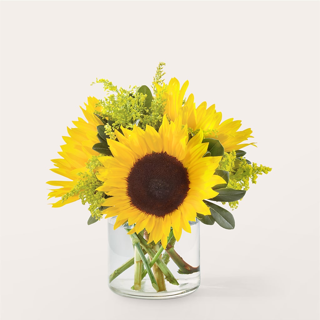 Beaming Sunflower Bouquet – Morgan Hill Florist, San Jose CA
