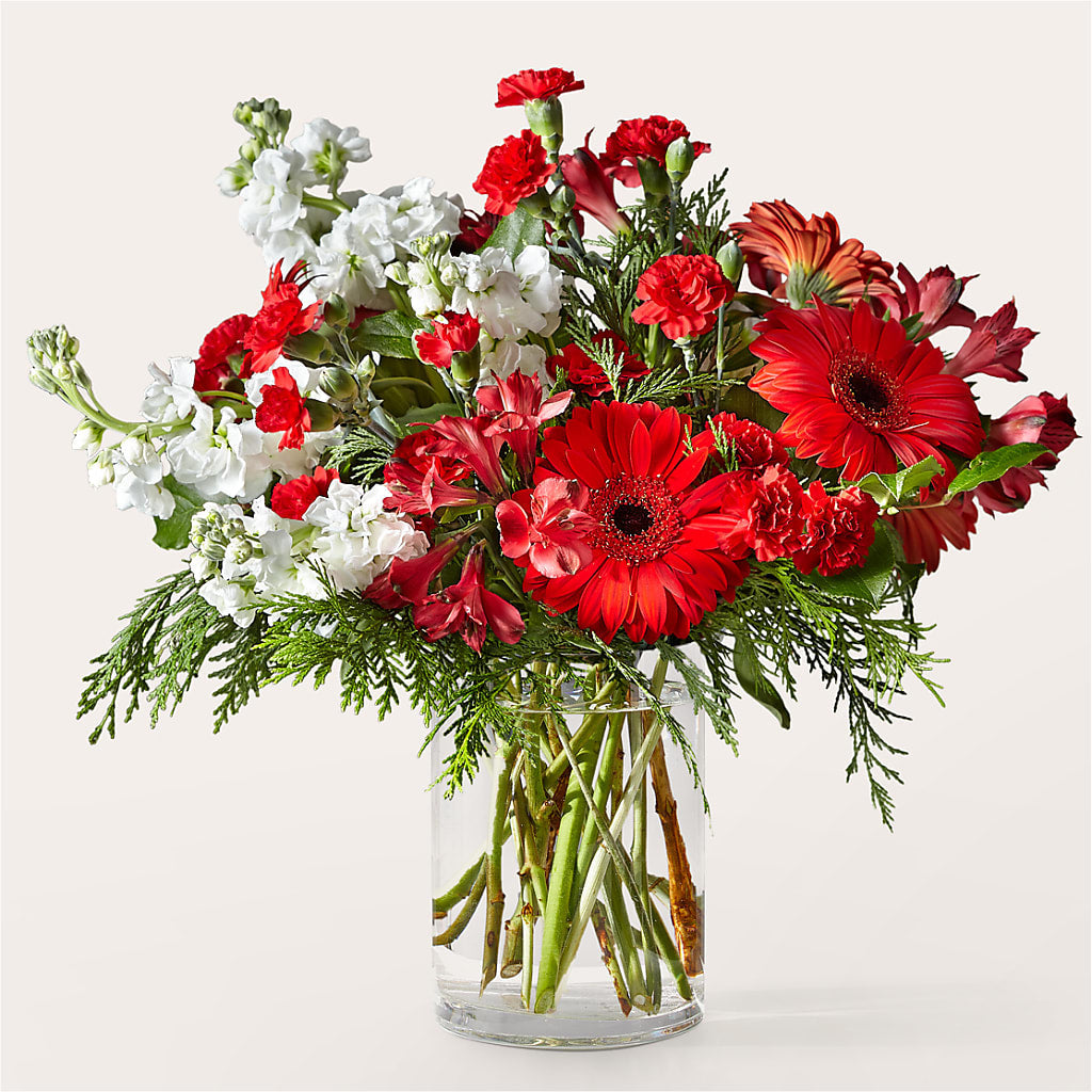 Holidaisy Bouquet – Morgan Hill Florist, San Jose CA