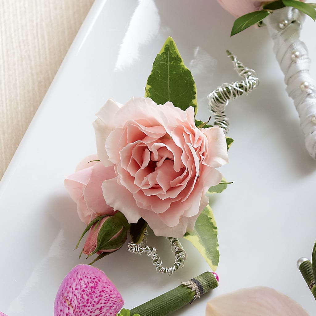 Pink Spray Rose Boutonniere – Morgan Hill Florist, San Jose CA