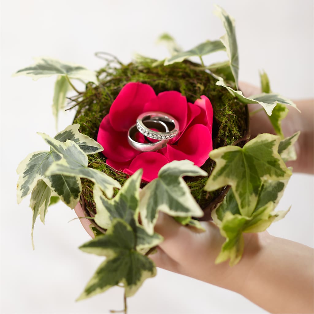 Lila Rose Ring Nest – Morgan Hill Florist, San Jose CA