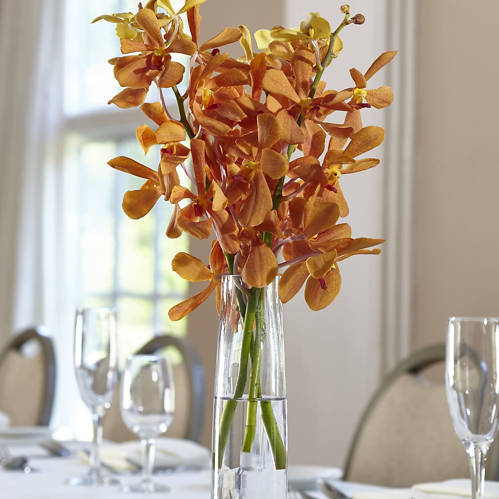 Orange Mokara Bud Vase – Morgan Hill Florist, San Jose CA