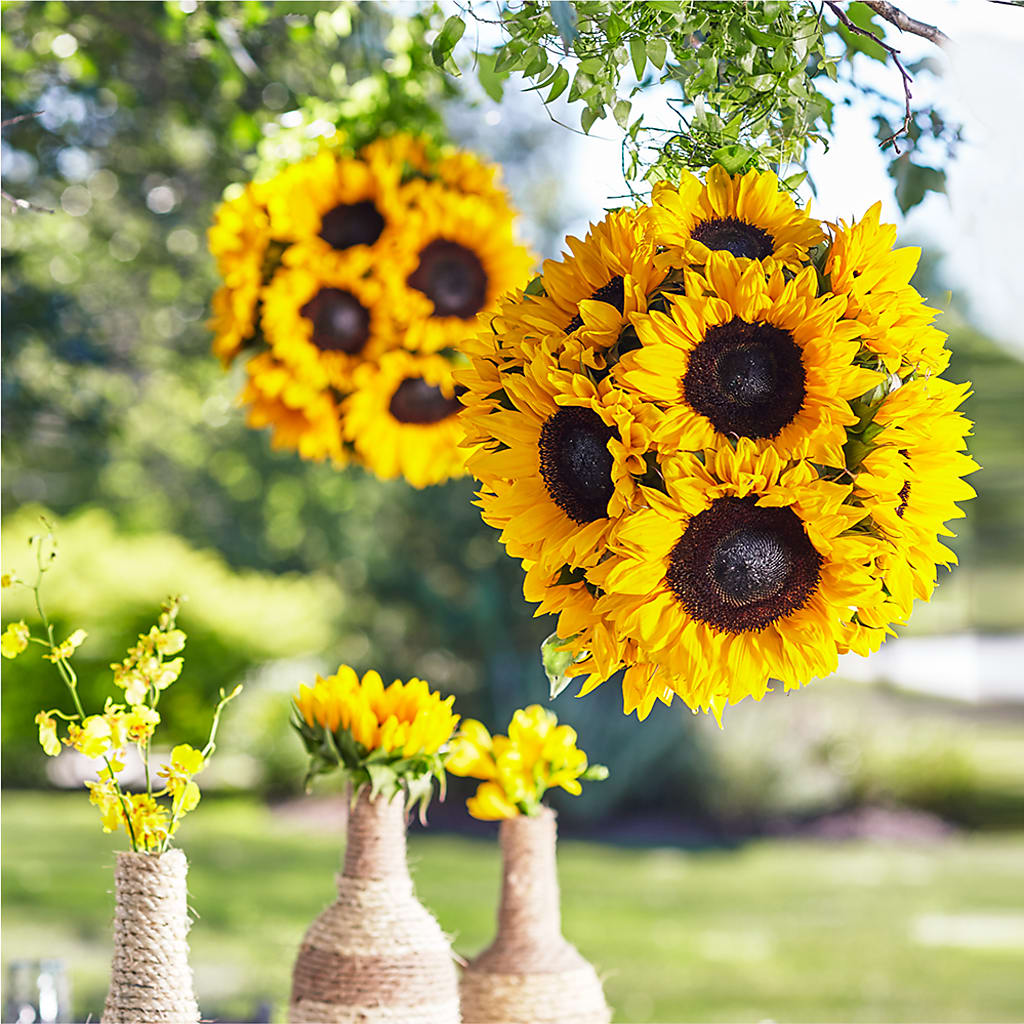 Sublime Garden Hanging Arrangement – Morgan Hill Florist, San Jose CA