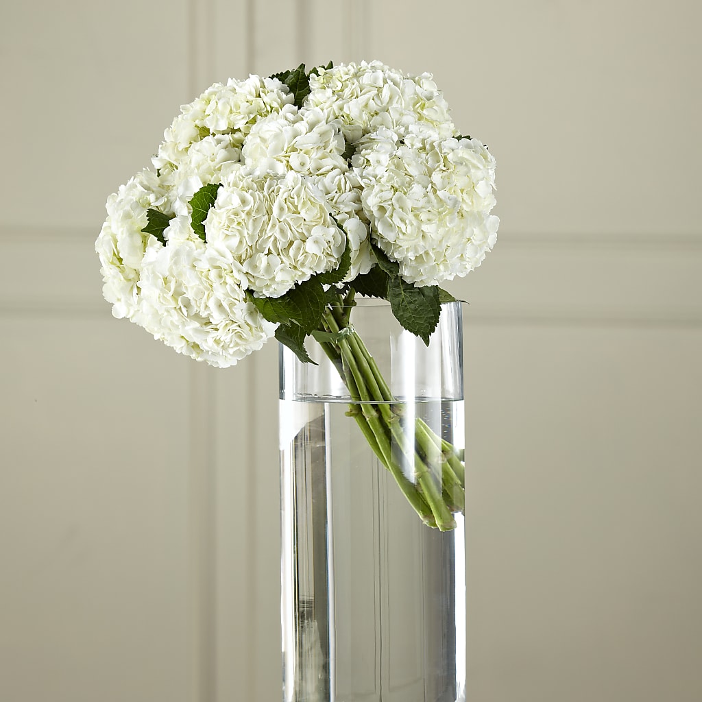 White Hydrangea Hand-Tied Bouquet – Morgan Hill Florist, San Jose CA