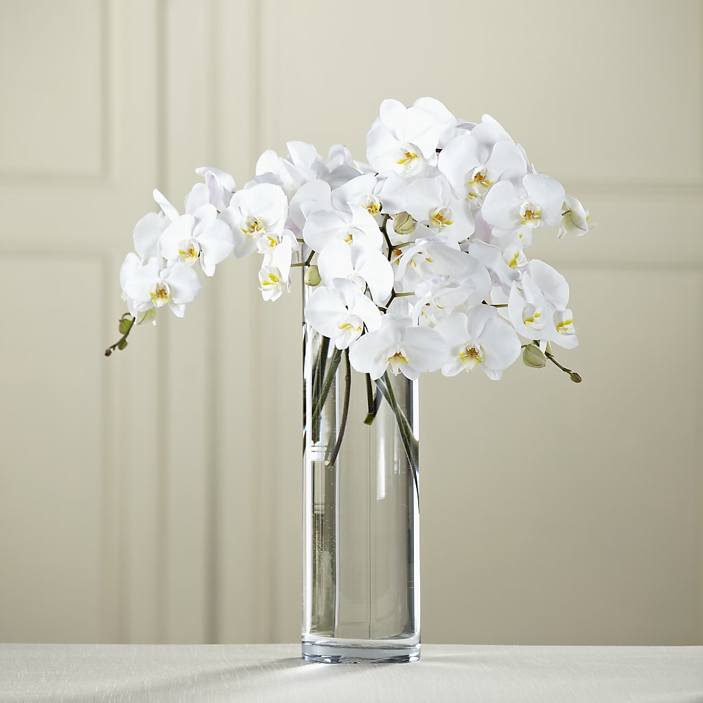 White Phalaenopsis Bouquet – Morgan Hill Florist, San Jose CA