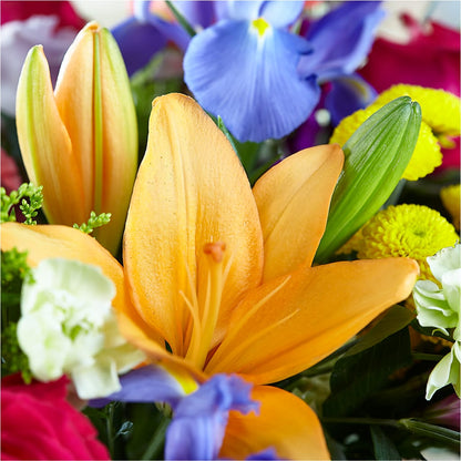 Bold & Bright – A Florist Original –  Morgan Hill Florist, San Jose CA