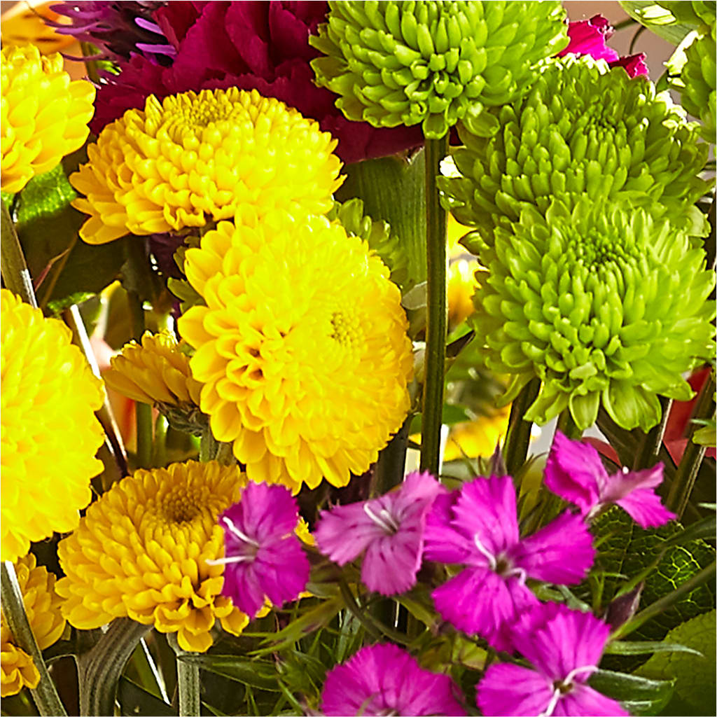 Bold & Bright – A Florist Original –  Morgan Hill Florist, San Jose CA