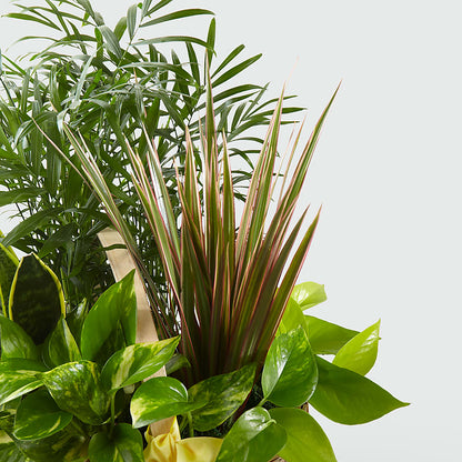 French Garden –  Morgan Hill Florist, San Jose CA