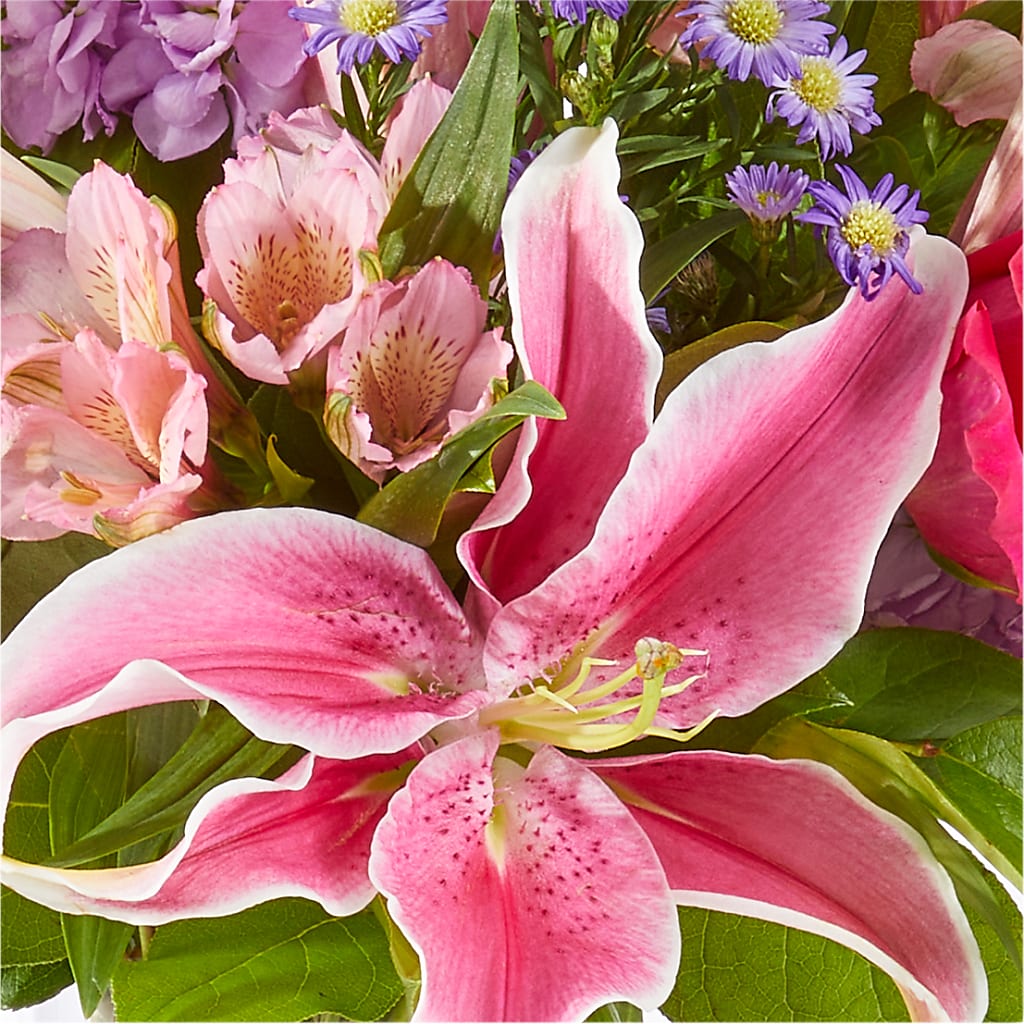 Written in the Stars Bouquet –  Morgan Hill Florist, San Jose CA