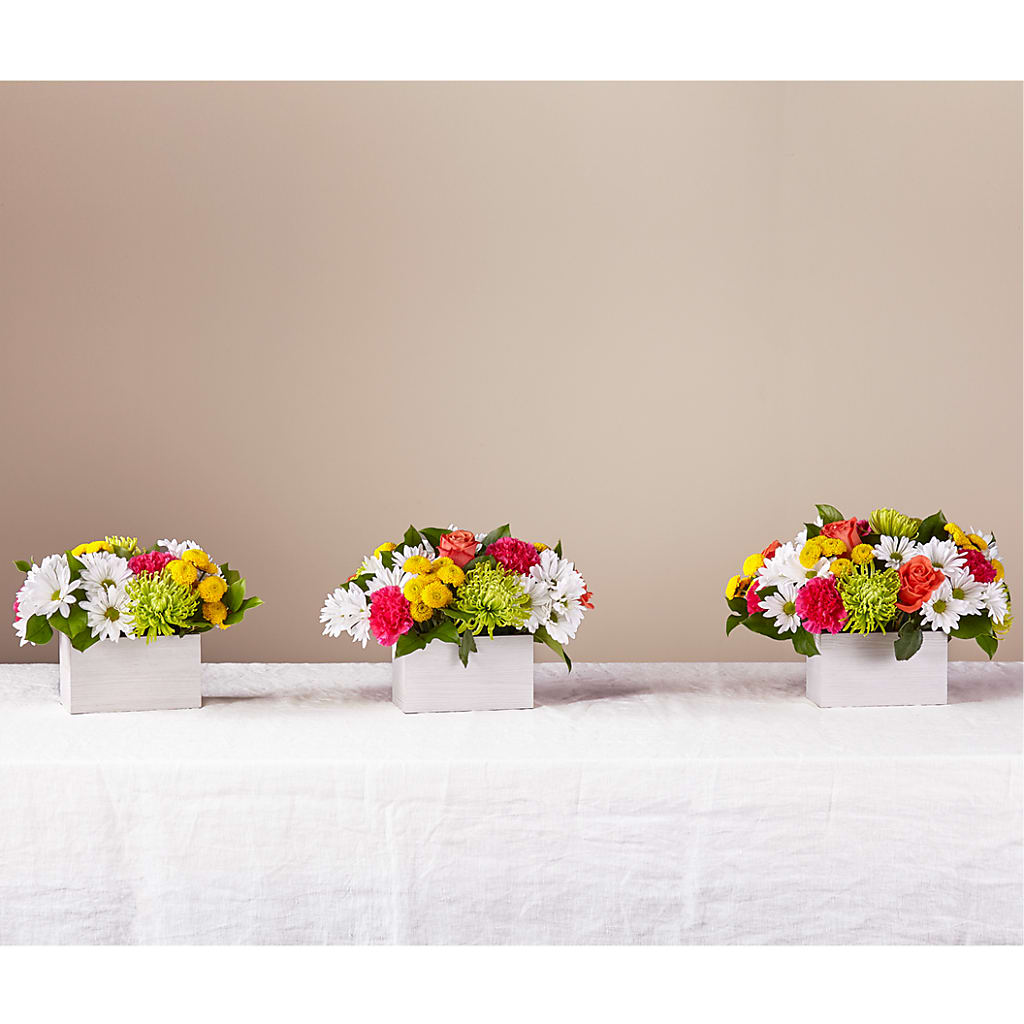 Sorbet Bouquet –  Morgan Hill Florist, San Jose CA