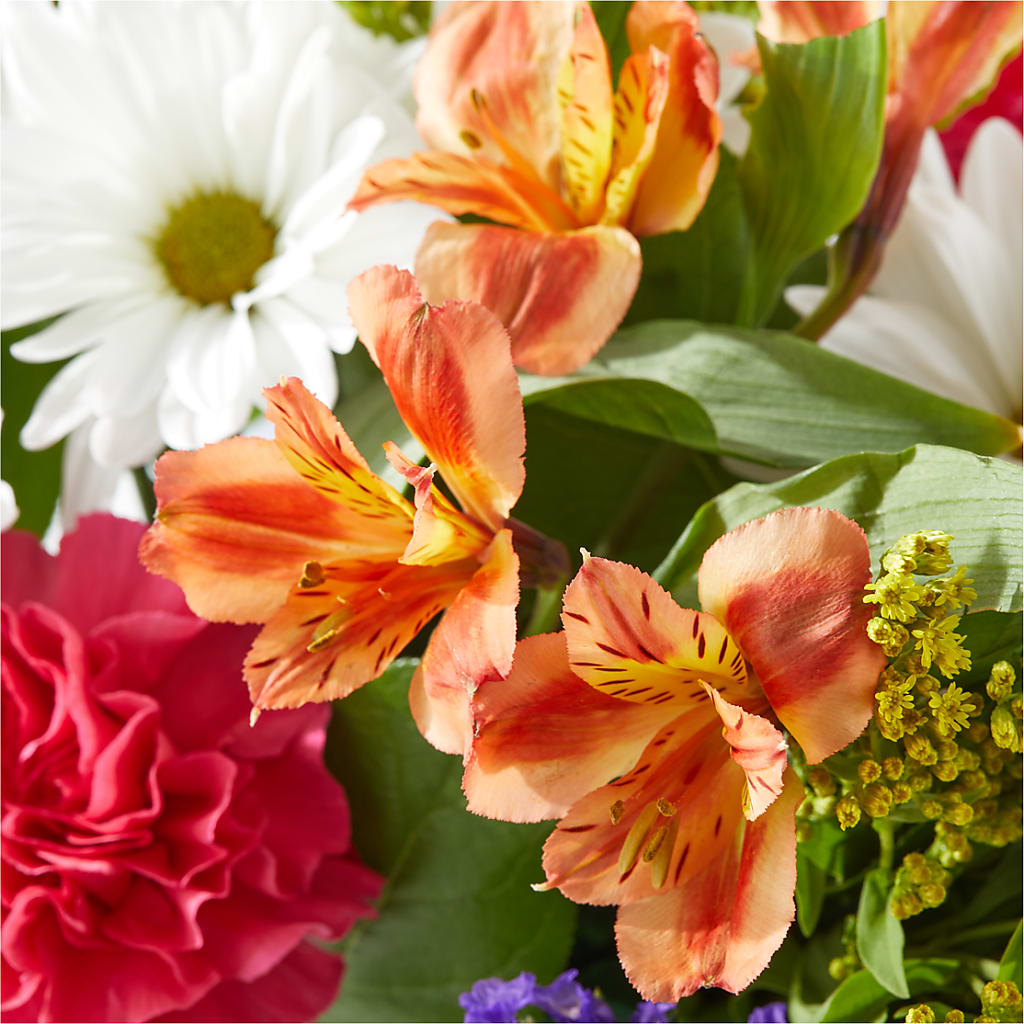 Oopsie Daisy Box Bouquet –  Morgan Hill Florist, San Jose CA