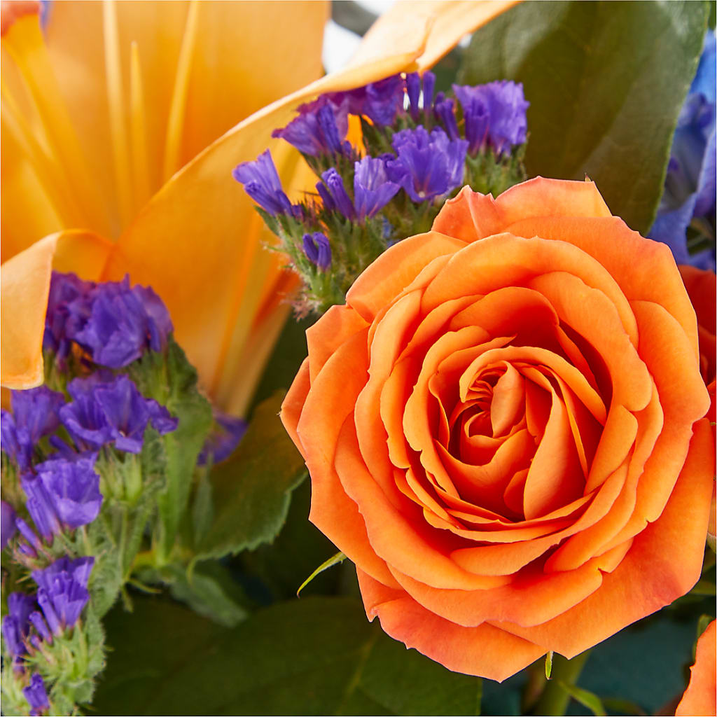 Radiant Citrus Box Bouquet –  Morgan Hill Florist, San Jose CA