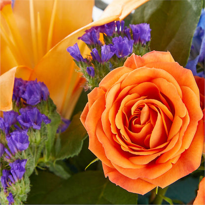Radiant Citrus Box Bouquet –  Morgan Hill Florist, San Jose CA