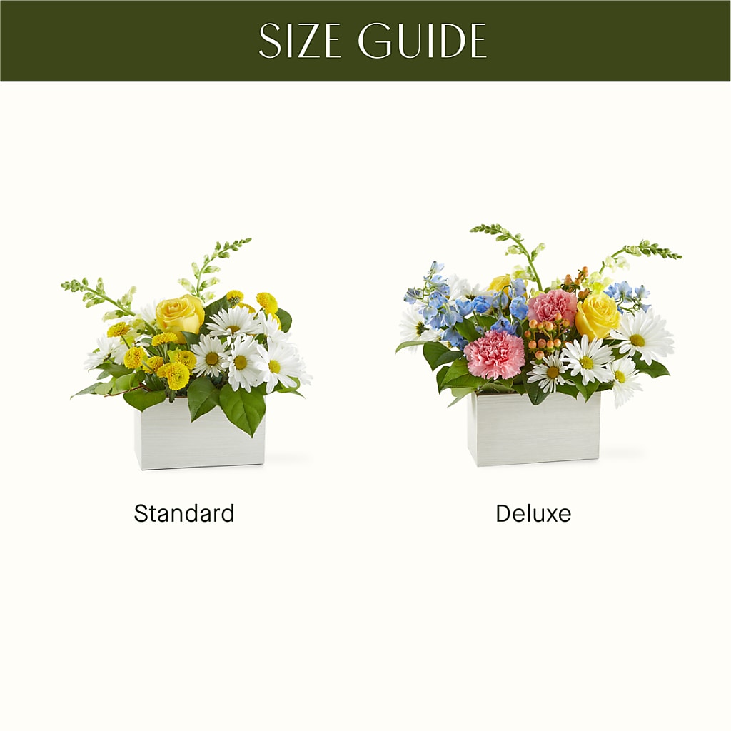 Sun Salutation Box Bouquet –  Morgan Hill Florist, San Jose CA