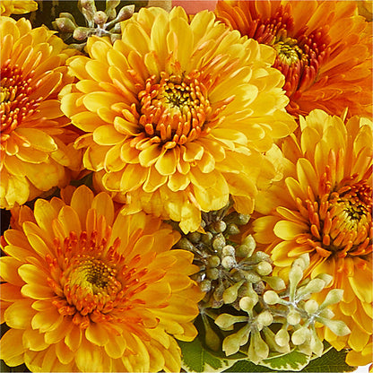 Peachy Pumpkin –  Morgan Hill Florist, San Jose CA