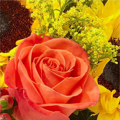 Pick of the Patch Pumpkin Bouquet –  Morgan Hill Florist, San Jose CA