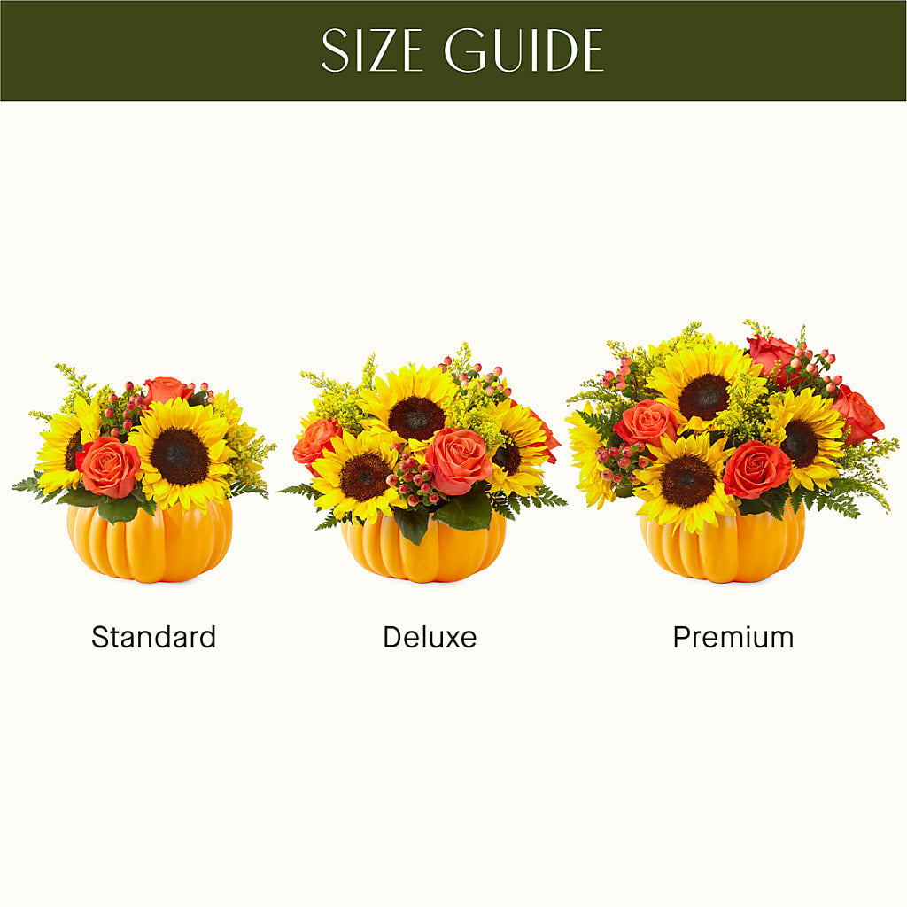 Pick of the Patch Pumpkin Bouquet –  Morgan Hill Florist, San Jose CA