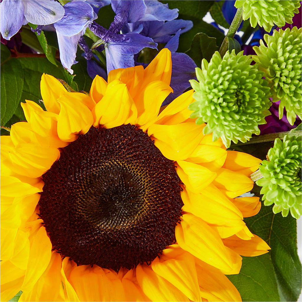 Catching Rays Bouquet –  Morgan Hill Florist, San Jose CA