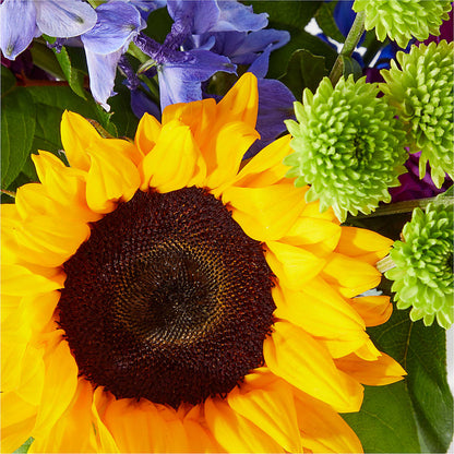 Catching Rays Bouquet –  Morgan Hill Florist, San Jose CA