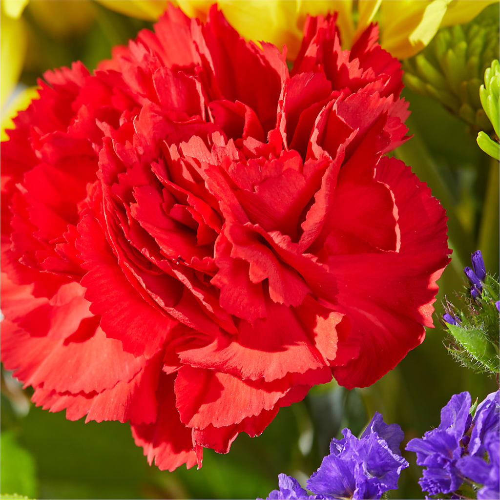 Brighter Days Bouquet –  Morgan Hill Florist, San Jose CA