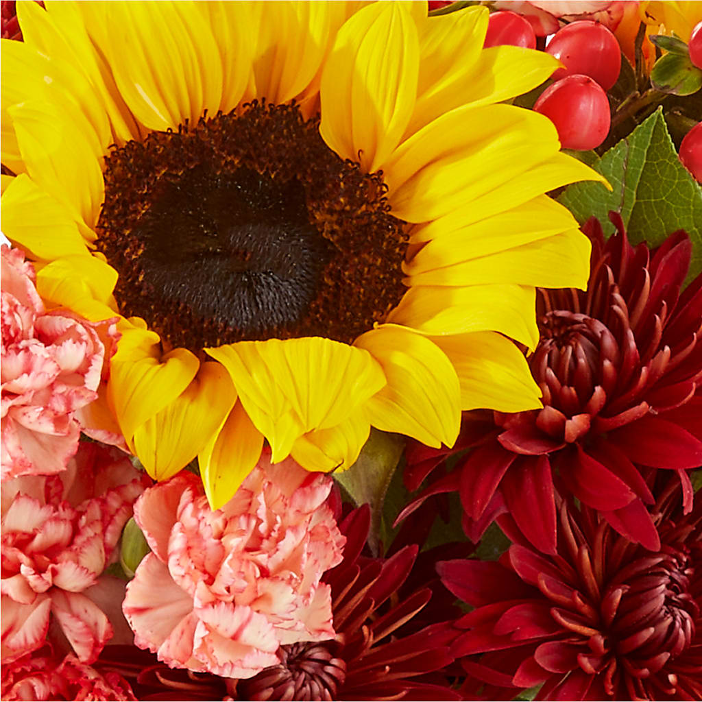Fresh Cider Bouquet –  Morgan Hill Florist, San Jose CA