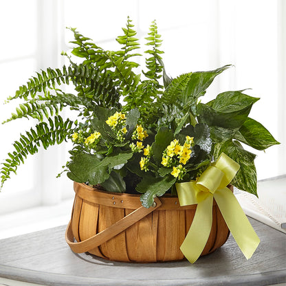 Always Dear Dishgarden –  Morgan Hill Florist, San Jose CA