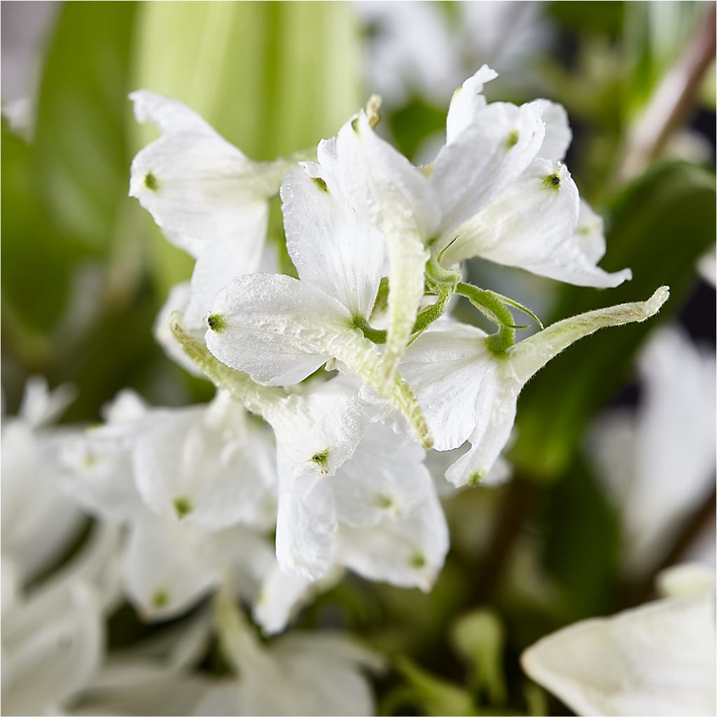 Classic Ivory – A Florist Original –  Morgan Hill Florist, San Jose CA