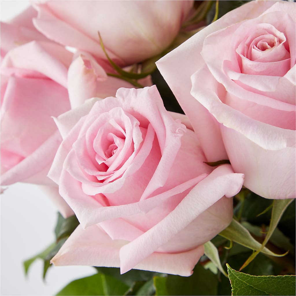 Picture Perfect Pink Rose Bouquet –  Morgan Hill Florist, San Jose CA