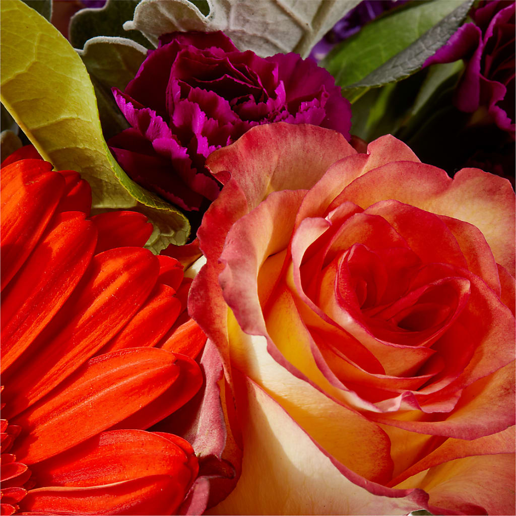 Sangria Bouquet –  Morgan Hill Florist, San Jose CA