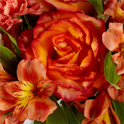 Apricot Glow Bouquet –  Morgan Hill Florist, San Jose CA