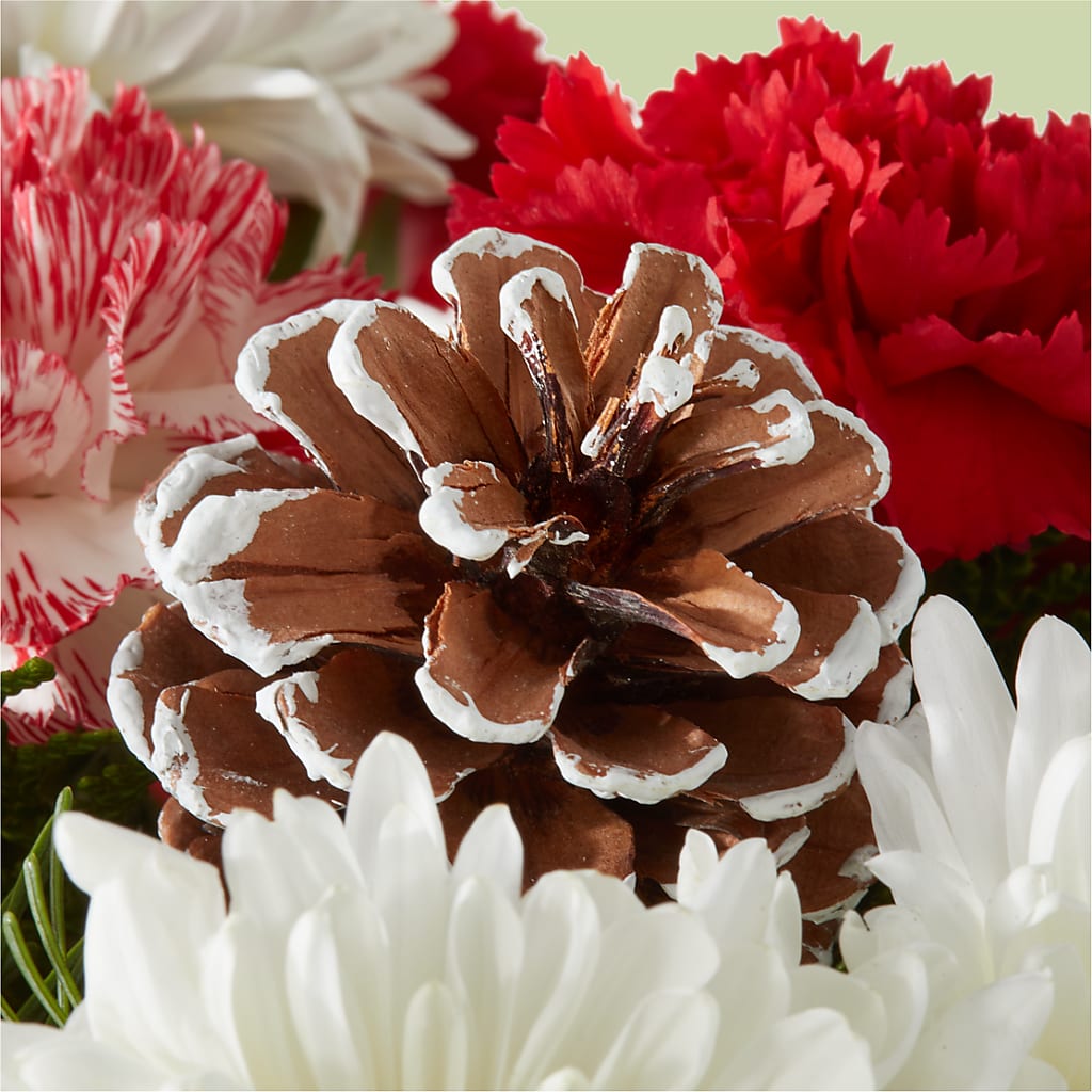 Candy Cane Lane Bouquet –  Morgan Hill Florist, San Jose CA