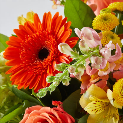 Autumn Sunshine Bouquet –  Morgan Hill Florist, San Jose CA