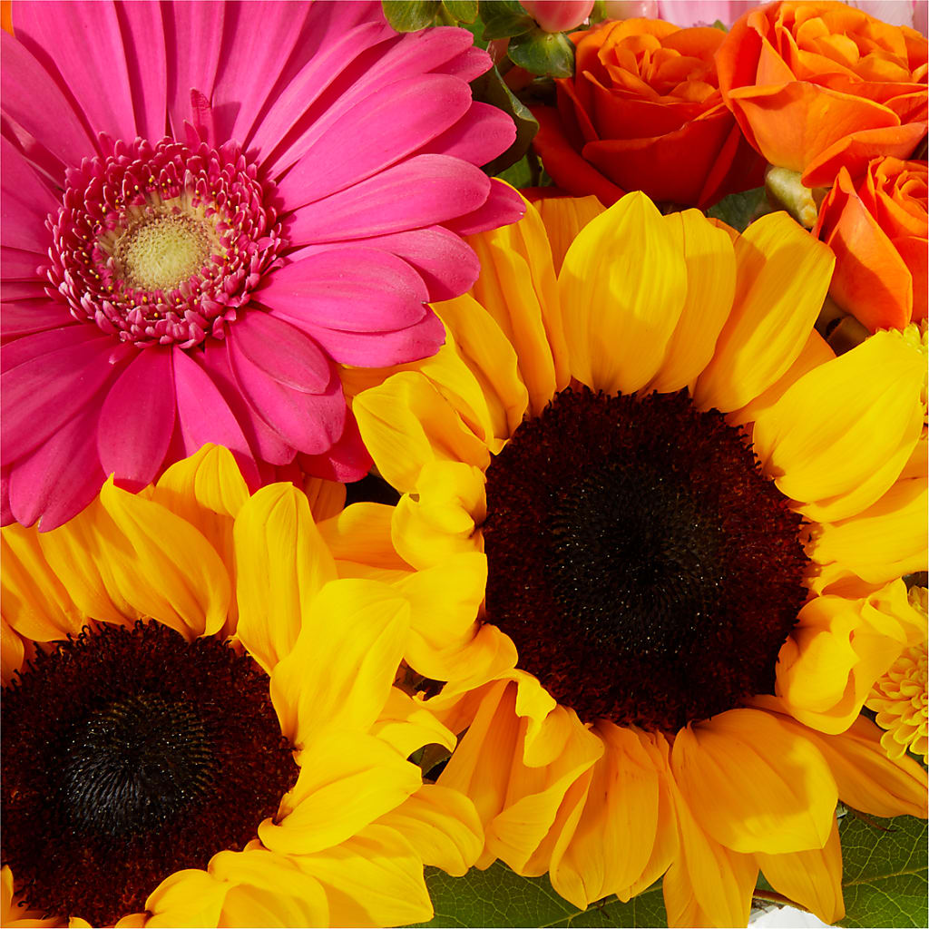 Beach Day Bouquet –  Morgan Hill Florist, San Jose CA