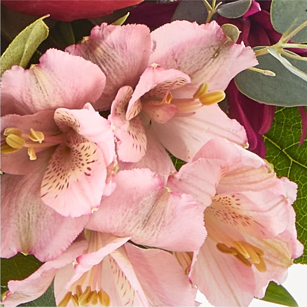 Berry Cobbler Bouquet –  Morgan Hill Florist, San Jose CA