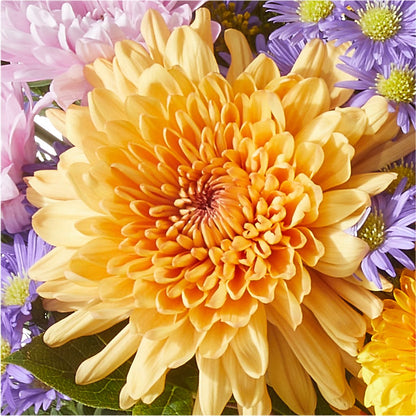 Countryside Bouquet –  Morgan Hill Florist, San Jose CA