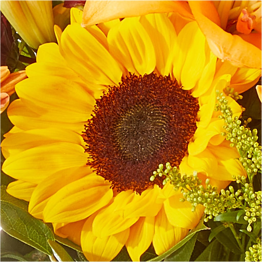 Seasons Change Bouquet –  Morgan Hill Florist, San Jose CA