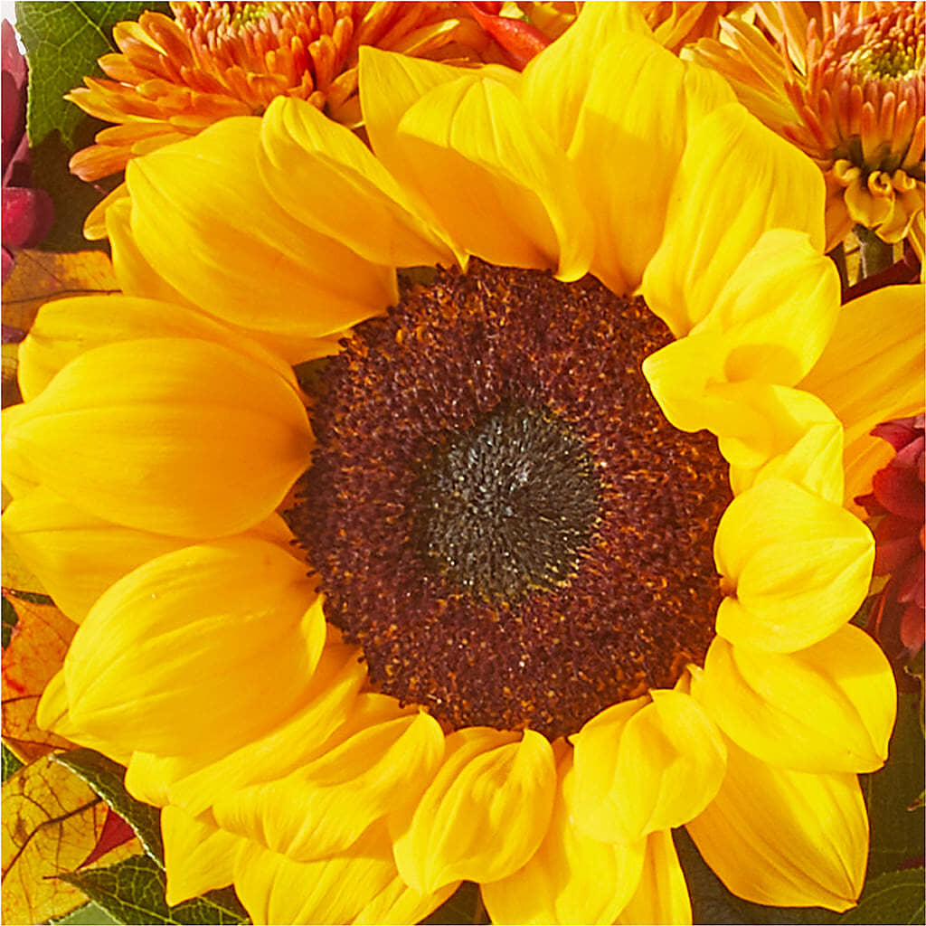 Sunny Side Bouquet –  Morgan Hill Florist, San Jose CA
