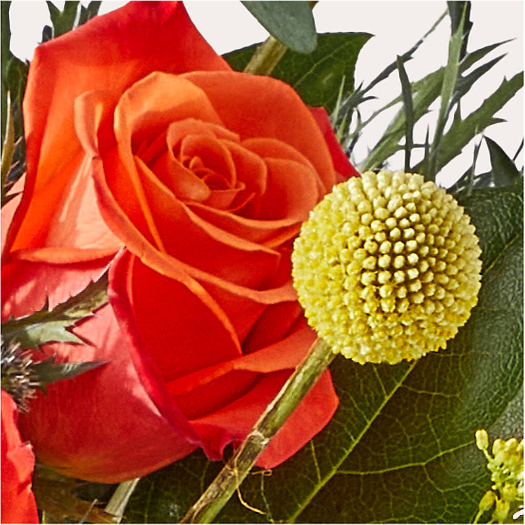 Disco Bouquet –  Morgan Hill Florist, San Jose CA
