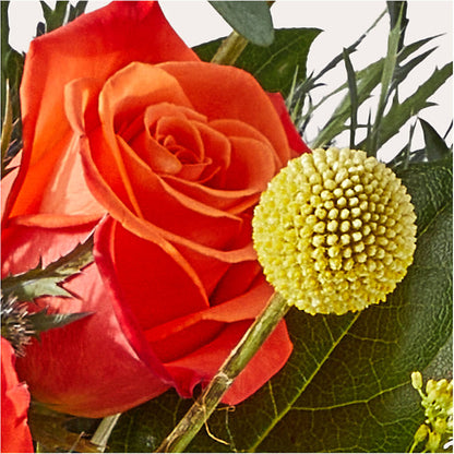 Disco Bouquet –  Morgan Hill Florist, San Jose CA
