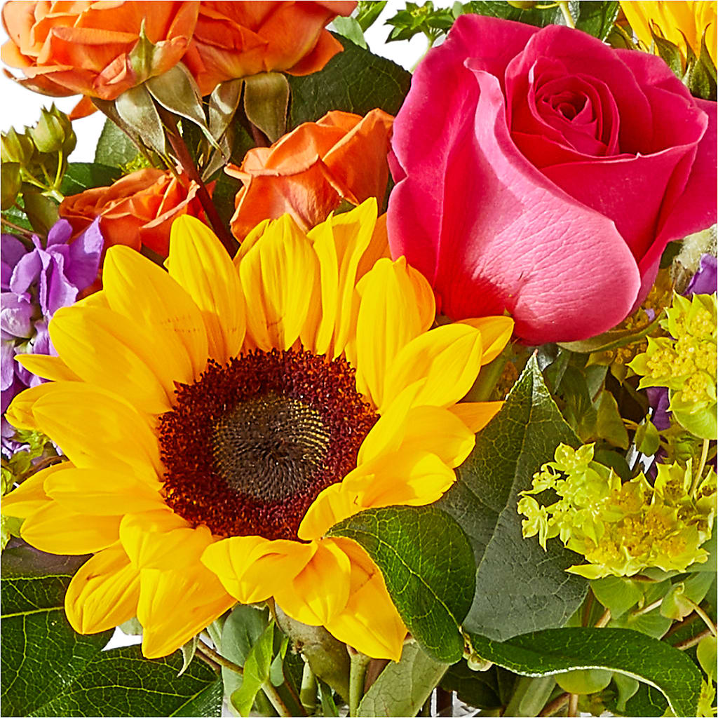 Vibrant Greetings Bouquet –  Morgan Hill Florist, San Jose CA