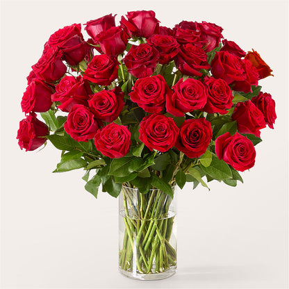 The One Red Rose Bouquet –  Morgan Hill Florist, San Jose CA