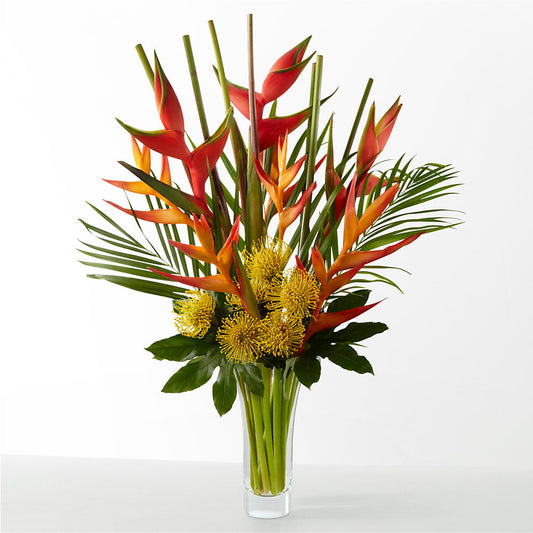 The Drama –  Morgan Hill Florist, San Jose CA