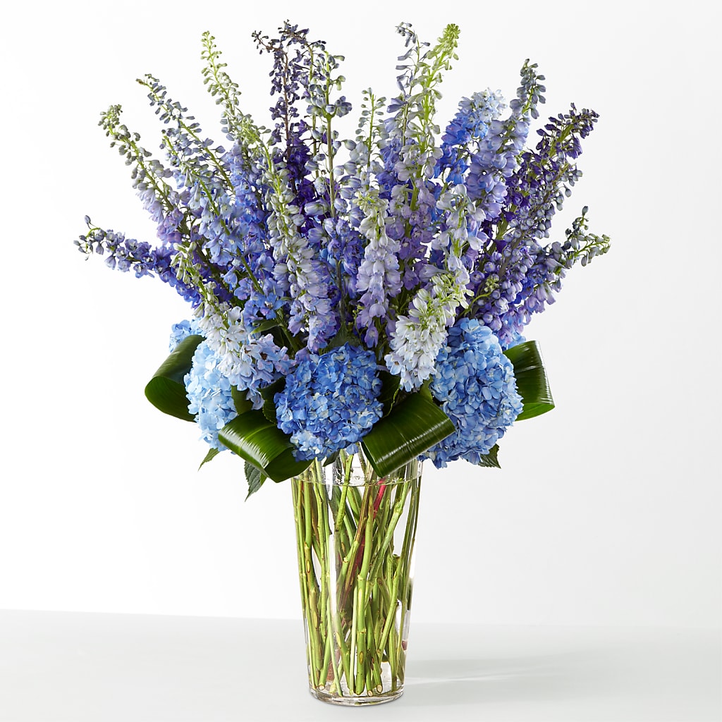 The Editorial –  Morgan Hill Florist, San Jose CA